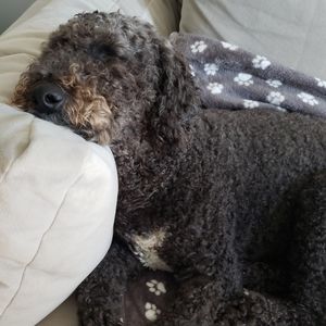 Meet your Posher, Christina